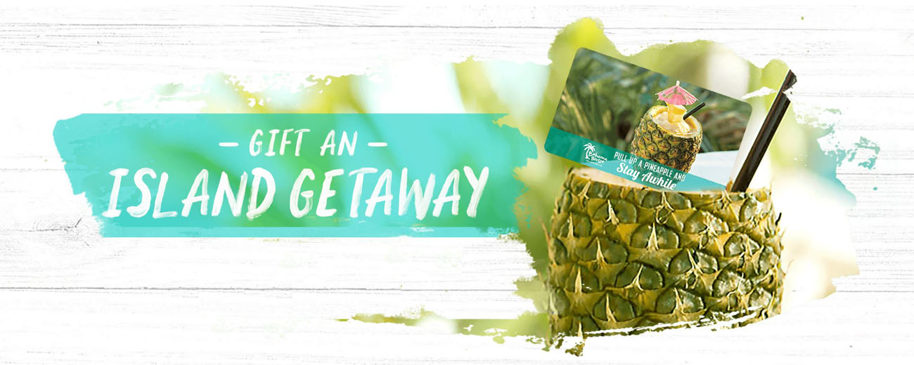 Bahama Breeze 100 Gift Card (Email Delivery)